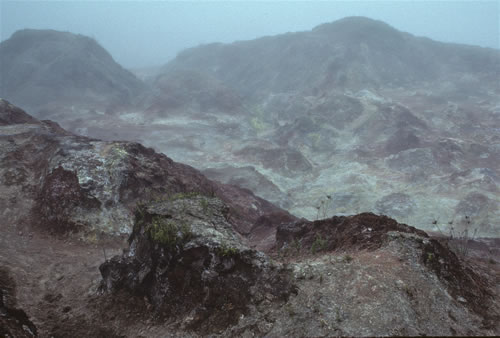 Isabela Volcán Alcedo